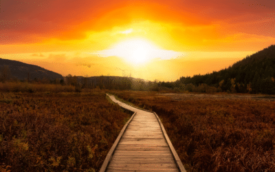 Common-Sense Divorce: Why Most People Don’t Need a Courtroom to Get Divorced